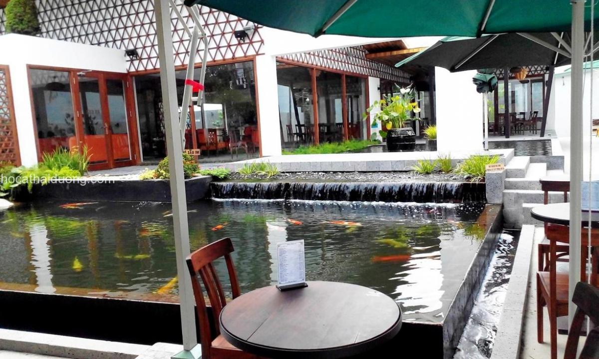 ho-ca-koi-dep-tai-quan-ca-phe