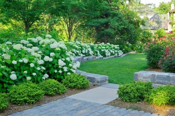 Đường viền bằng đá khiến sân vườn trông gần gũi với thiên nhiên hơn