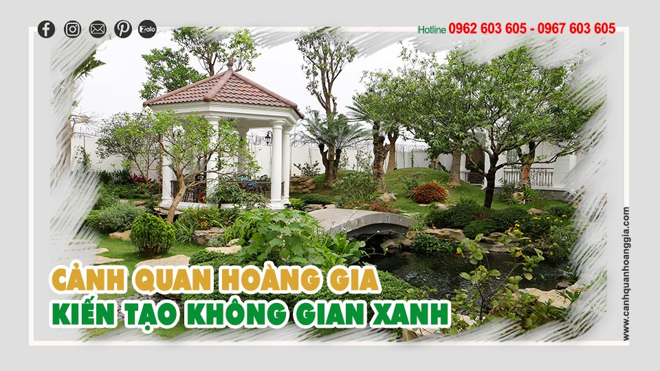 hồ cá koi độc đáo, diện tích hồ cá koi chuẩn