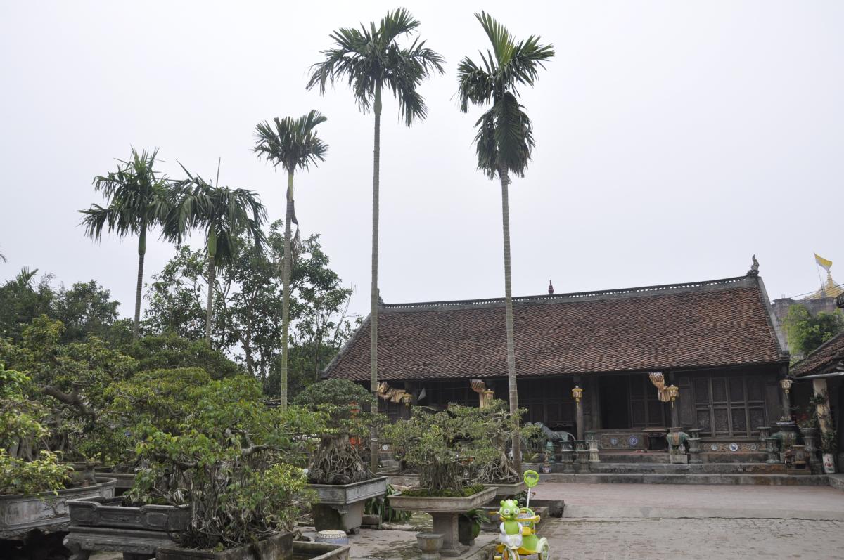 sân vườn “chuẩn” làng quê Việt