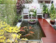Dịch vụ vệ sinh hồ cá Koi chuyên nghiệp