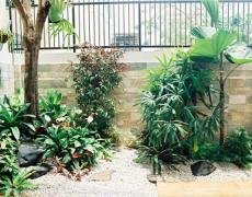 mấu tiểu cảnh tại Hải Phòng