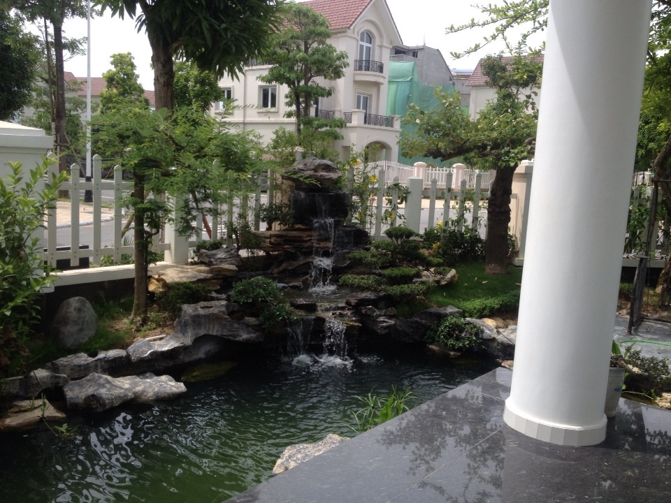 Thiết kế thi công hồ cá koi tại Hải Phòng