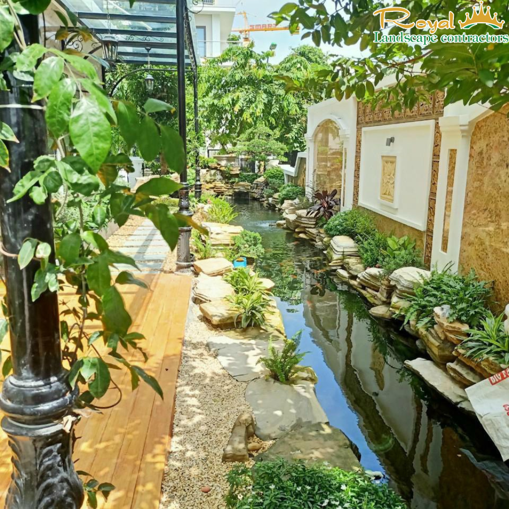 khung cảnh hồ cá Koi