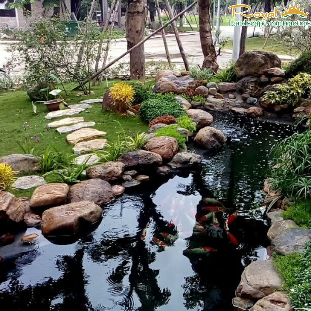 khung cảnh hồ cá Koi